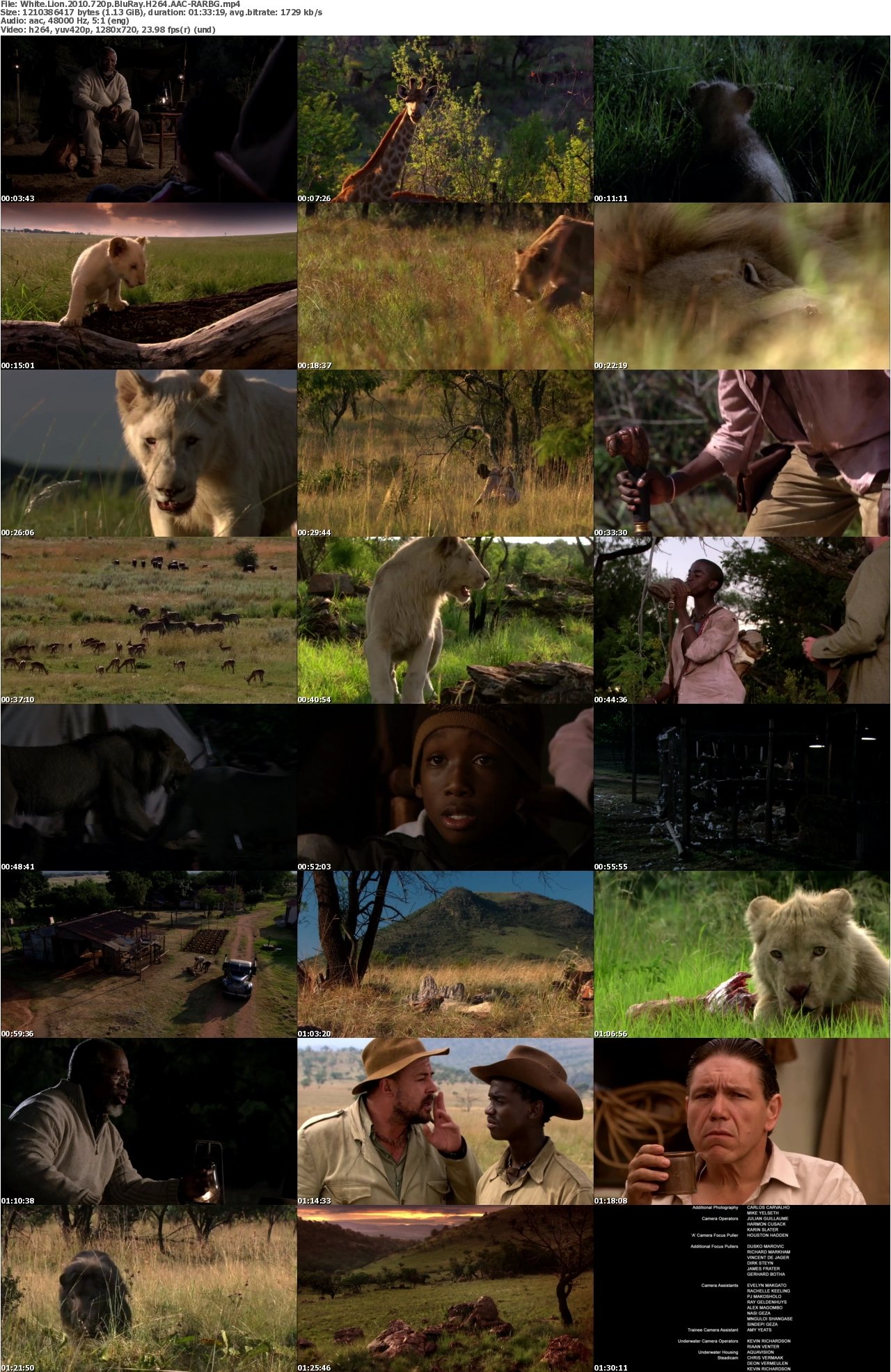 White Lion 2010 720p BluRay H264 AAC-RARBG