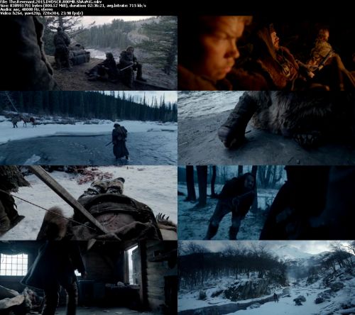 The Revenant (2015) DVDSCREENER 800MB - ShAaNiG