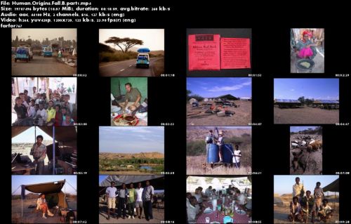 Arizona State University - Human Origins Fall B 2015
