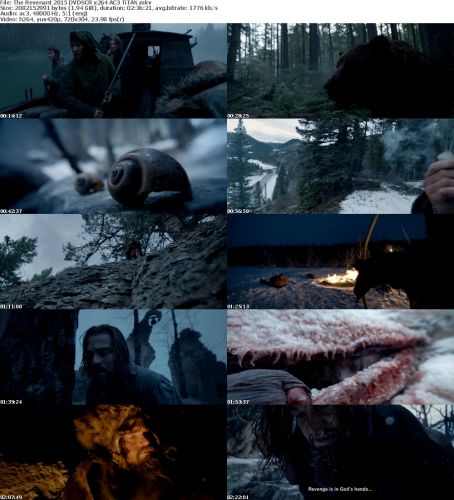 The Revenant 2015 DVDSCR x264 AC3 TiTAN