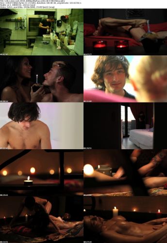 Life Love Lust 2010 1080p BluRay DD2.0 x264-HDC