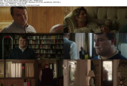 The D Train 2015 720p BluRay x264-MZABI