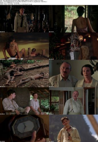 The Sleeping Dictionary 2003 1080p WEB-DL DD5.1 H264-FGT