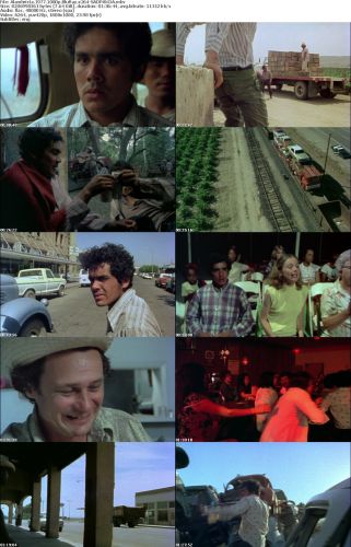 Alambrista 1977 1080p BluRay x264-SADPANDA