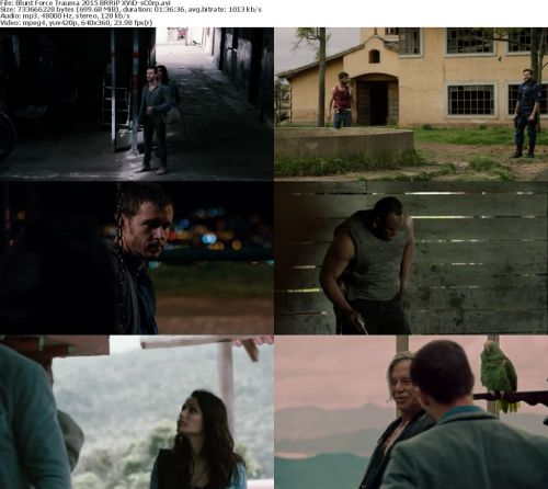Blunt Force Trauma 2015 BRRiP XViD-sC0rp