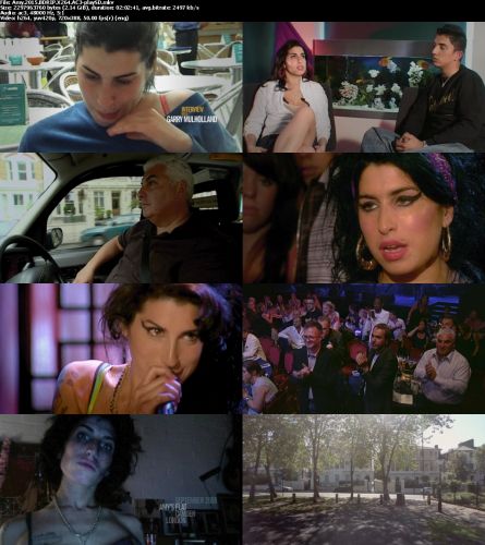 Amy 2015 BDRIP X264 AC3-playSD