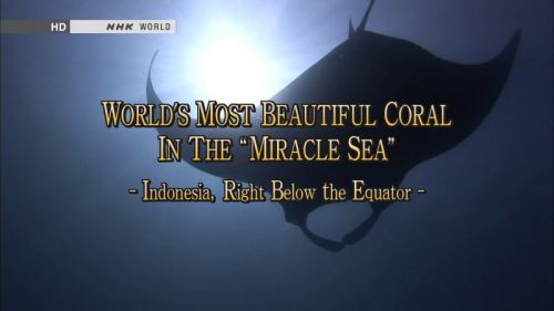 NHK Great Nature - Indonesia's Raja Ampat (2012) 720p HDTV x264-MVGroup
