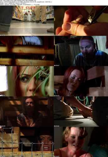 The Cellar Door 2007 BRRip XviD MP3-RARBG
