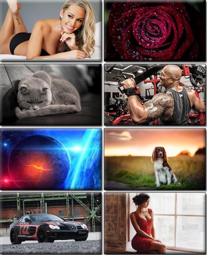 Computer Desktop Wallpapers Collection. Part (1397)