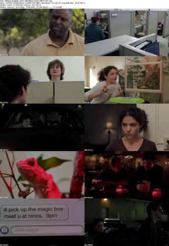 White Rabbit 2015 WEBRip XviD MP3-FGT