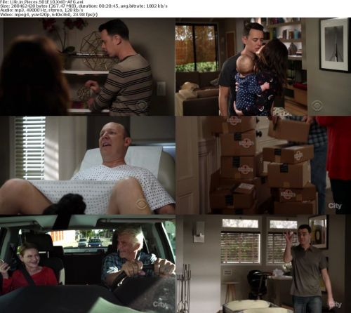 Life in Pieces S01E10 HDTV XviD-AFG