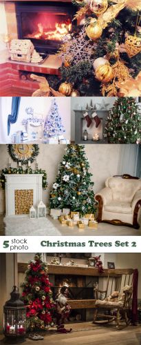 Photos - Christmas Trees Set 2