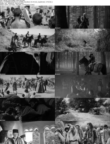 Aferim 2015 BDRip x264-LAP