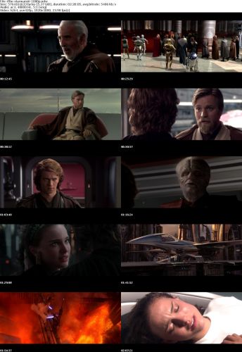 Star Wars Episode III Revenge Of The Sith 2005 1080p iNTERNAL BluRay x264-FFM