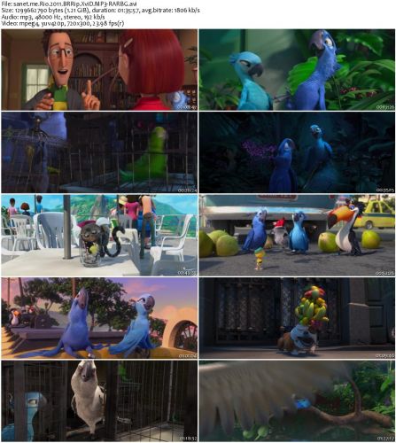 Rio 2011 BRRip XviD MP3-RARBG