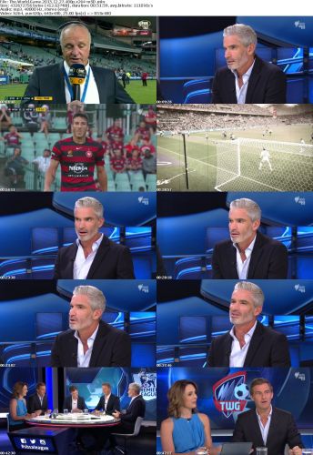 The World Game 2015 12 27 480p x264-mSD
