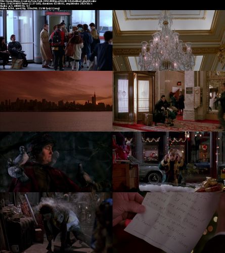 Home Alone 2 Lost in New York 1992 BDRip x264 AC3 RoSubbed-playSD