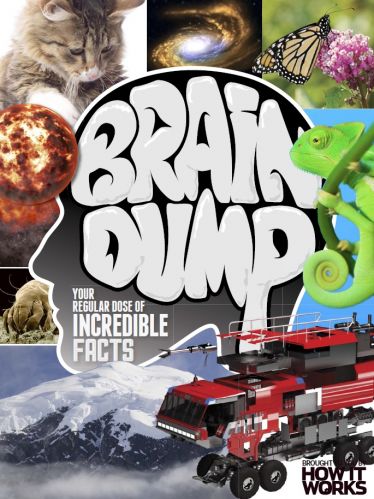 Brain Dump - Issue 31 2015 (True PDF)