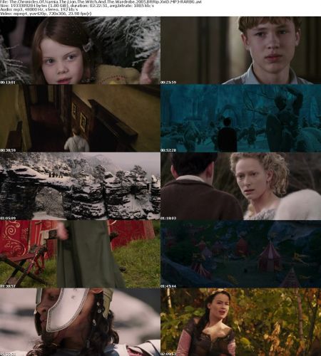 The Chronicles Of Narnia The Lion The Witch And The Wardrobe 2005 BRRip XviD MP3-RARBG