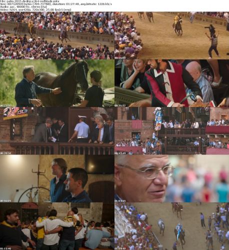 Palio 2015 DVDRip x264-RedBlade