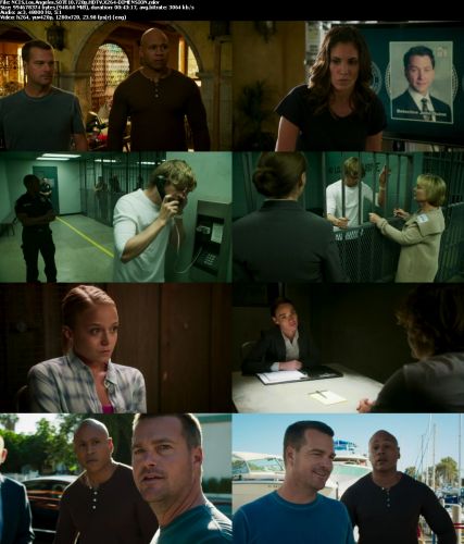 NCIS Los Angeles S07E10 720p HDTV X264-DIMENSION