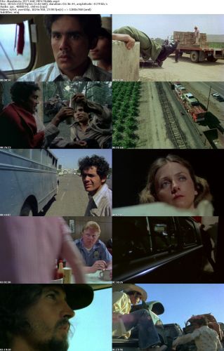 Alambrista 1977 AAC MP4-Mobile