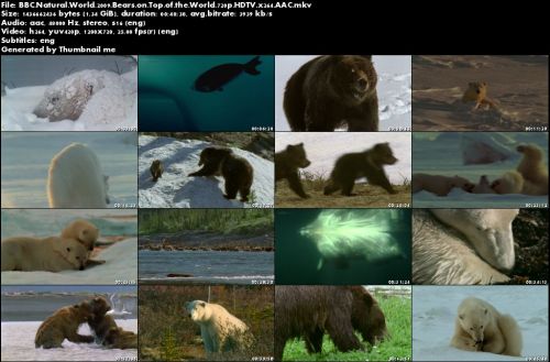 BBC Natural World - Bears on Top of the World (2009) 720p HDTV x264-MVGroup