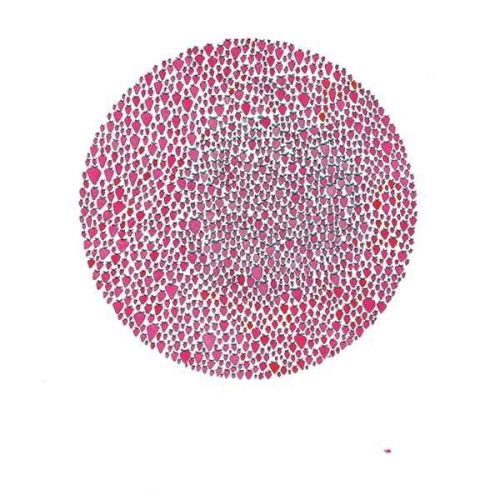 Julia Brown - An Abundance of Strawberries (2014) Reissue 2015