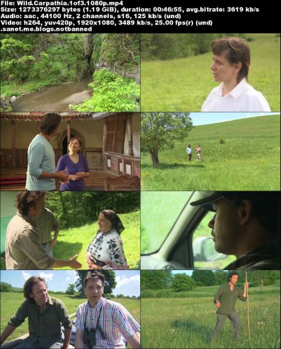 Wild Carpathia (2011) WEBRip 720p x264-MVGroup