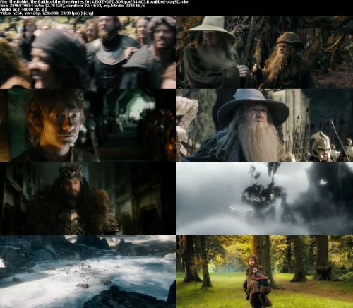 The Hobbit The Battle of the Five Armies 2014 EXTENDED BDRip x264 AC3 Rosubbed-playSD
