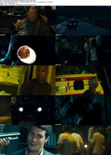Day Of The Dead 2008 STV 720p Bluray x264-hV