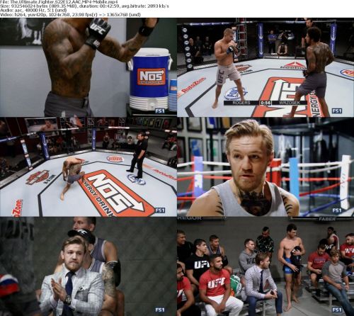 The Ultimate Fighter S22E12 HDTV x264-Mobile