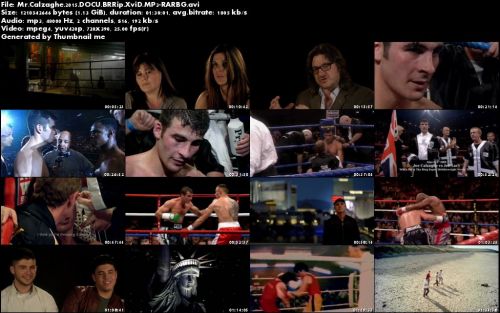 Mr Calzaghe (2015) BRRip XviD MP3-RARBG