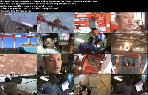 NHK The Professionals - Crane Jockey: Top Gun of the Docks (2014) 720p HDTV x264-MVGroup