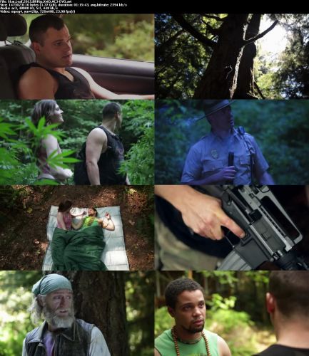 Star Leaf 2015 BRRip XviD AC3-EVO