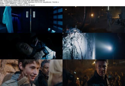 Maze Runner The Scorch Trials 2015 BRRiP XViD-sC0rp