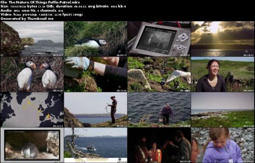 CBC - The Nature of Things: Puffin Patrol (2015)