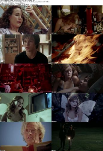 Happiness Runs 2010 BRRip XviD MP3-RARBG