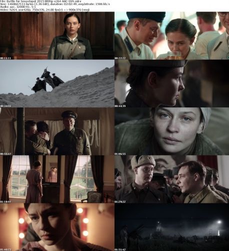 Battle for Sevastopol 2015 BRRip x264 AAC-SSN