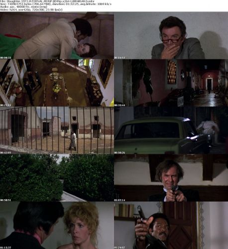 Slaughter 1972 iNTERNAL RERiP BDRip x264-LiBRARiANS