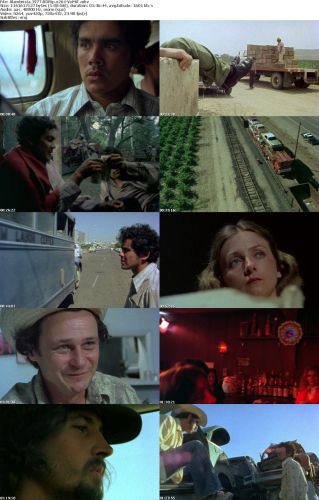 Alambrista 1977 BDRip x264-VoMiT