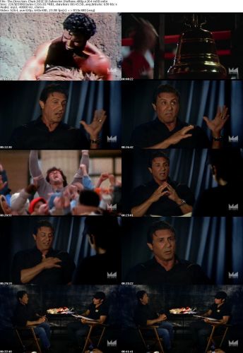 The Directors Chair S01E10 Sylvester Stallone 480p x264-mSD