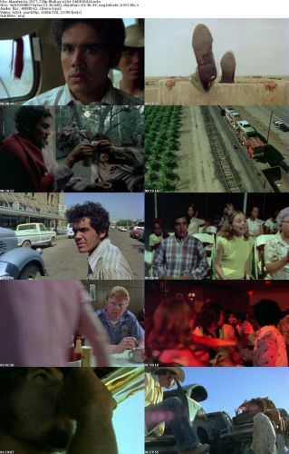 Alambrista 1977 720p BluRay x264-SADPANDA