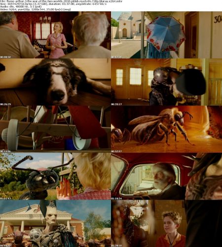 Arthur 3 The War of The Two Worlds 2010 PLDUB READ NFO 720p BluRay x264-FLAME