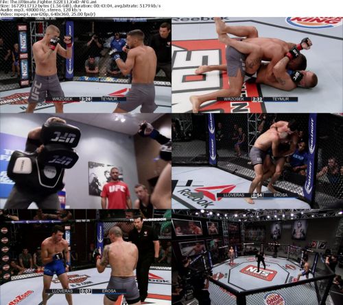 The Ultimate Fighter S22E11 HDTV XviD-AFG