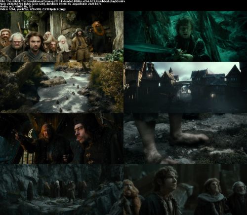 The Hobbit The Desolation of Smaug 2013 Extended BDRip x264 AC3 Rosubbed-playSD