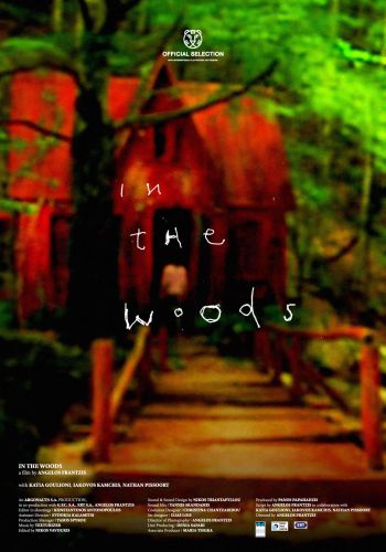In The Woods 2010 DVDRip x264-IcHoR