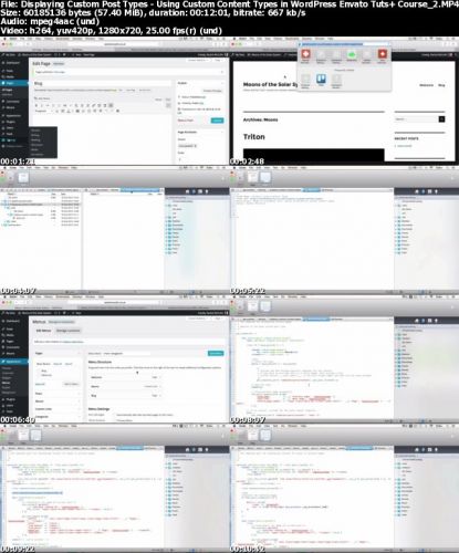 Tutsplus - Using Custom Content Types in WordPress