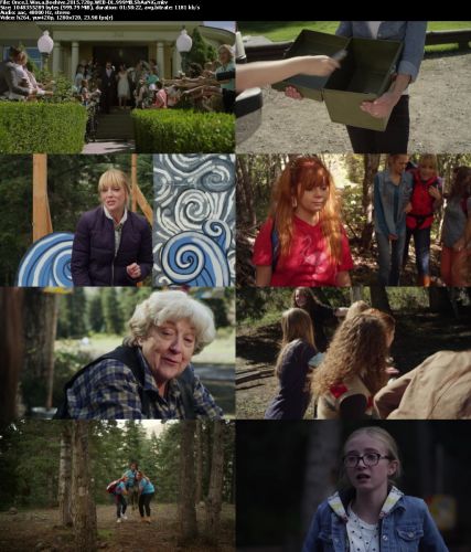 Once I Was a Beehive (2015) 720p WEB-DL 999MB - ShAaNiG