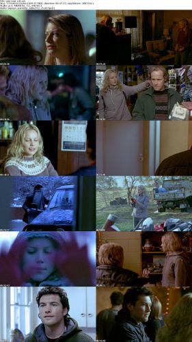 Somersault 2004 LiMiTED DVDRiP XViD-SMR